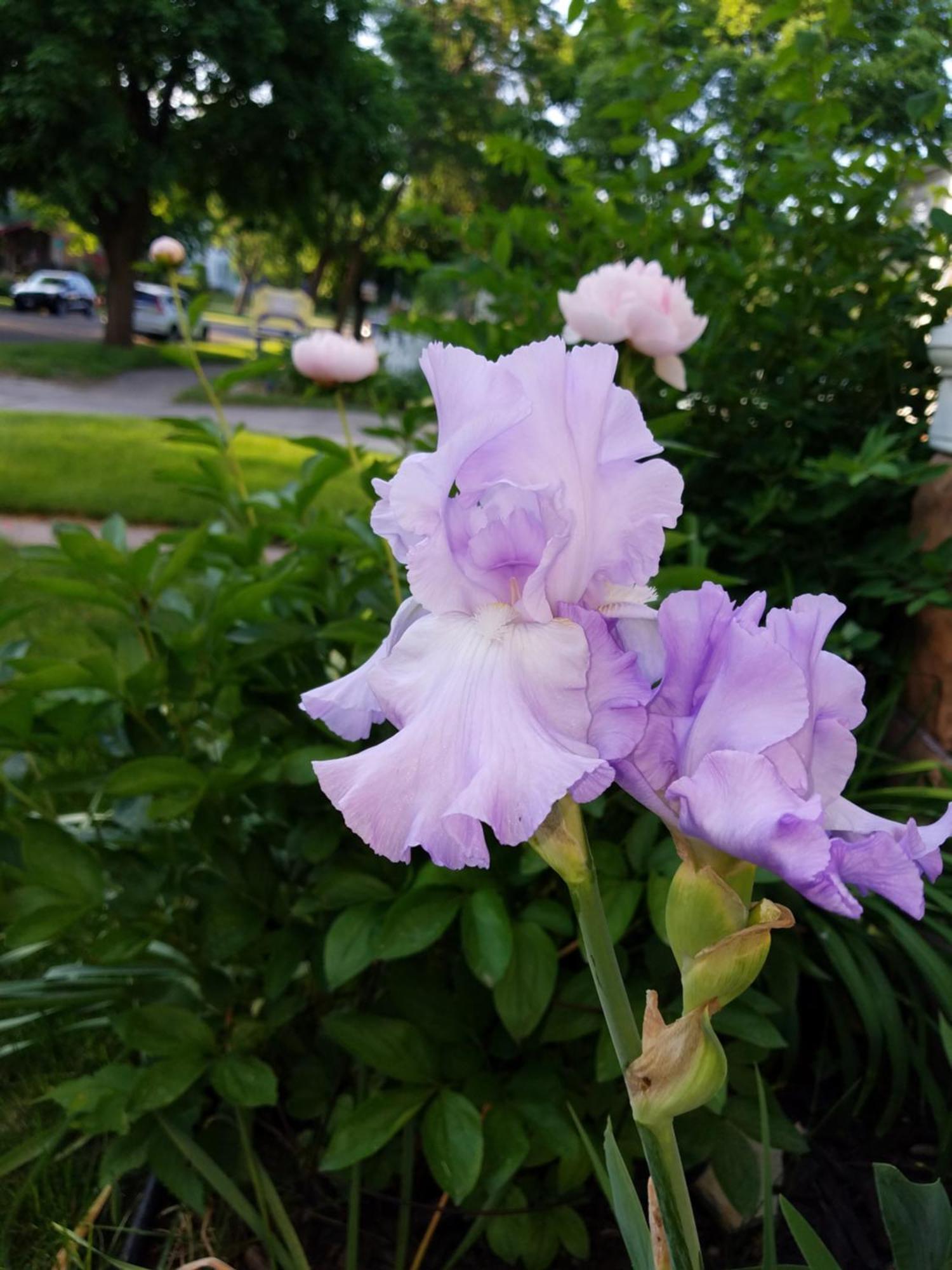 Ringling House Bed & Breakfast บาราบู ภายนอก รูปภาพ